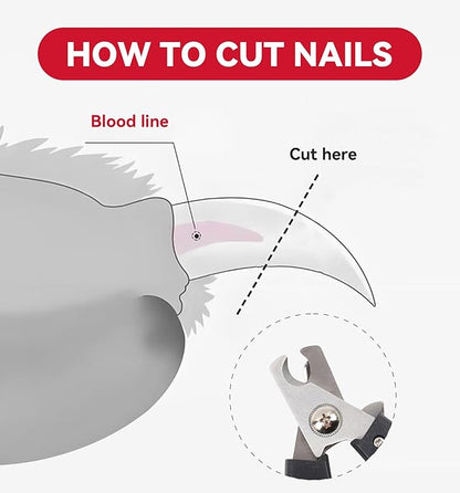 QMWG 12 X 4 CM Dog Nail Clippers for Small Dogs, Ultra Sharp Stainless Cat Nail Clippers with Guard for Large to Medium Dogs, Cats, Rabbits and Guinea Pigs, Free Nail File