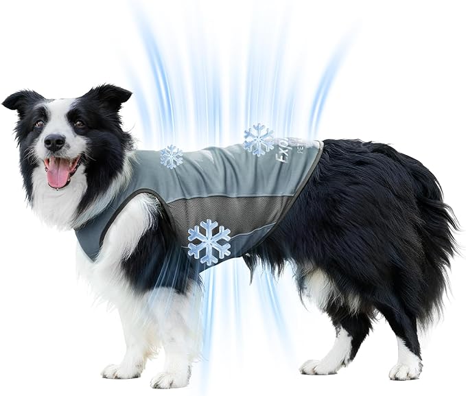 Dog Shirt, Lightweight Breathable Dog Cooling Vest Sun Protection Pet T-Shirts Quick Dry Soft Stretchy Reflective Label Pet Clothes - Small Medium Large Dogs (Misty Glade 1PC, X-Large)