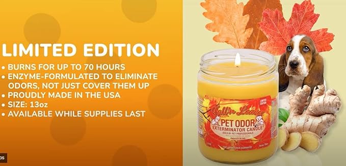 0 Candle Fall 'N Leaves