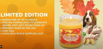 0 Candle Fall 'N Leaves