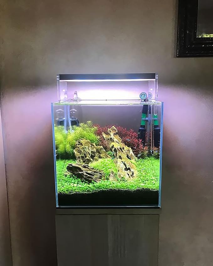 SubstrateSource Natural Stone for Aquarium, Terrarium, Paludarium, Reptile Enclosures - Set of Decorative Rocks for Landcapes, Aquascaping, Fish Tank Decor (Dragon Stone, 16 Pounds, 2-8)