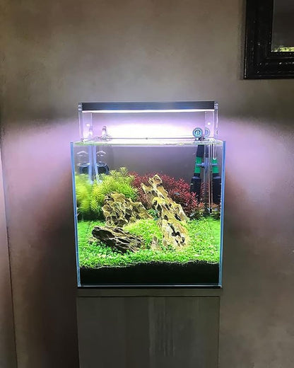 SubstrateSource Natural Stone for Aquarium, Terrarium, Paludarium, Reptile Enclosures - Set of Decorative Rocks for Landcapes, Aquascaping, Fish Tank Decor (Dragon Stone, 10 Pounds, 2-8")