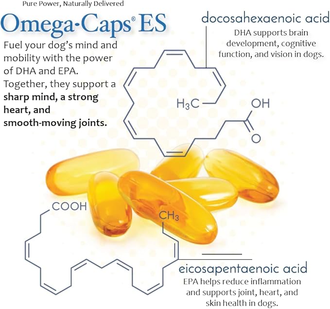 Omega-Caps ES for Large & Giant Dogs - Omega 3, Vitamins, Minerals, Antioxidants - Support Immune System, Joints, Heart, and Brain - 250 Softgel Capsules