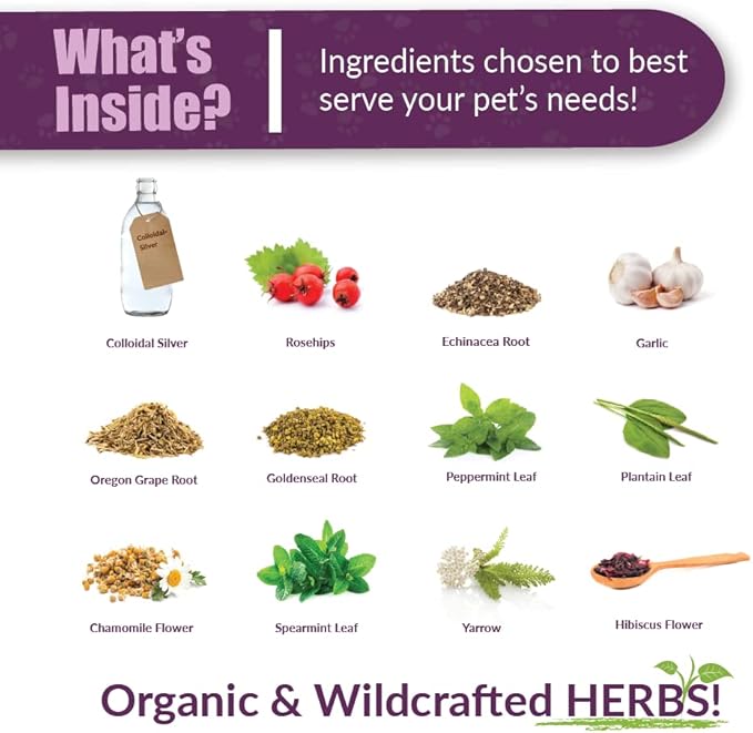 Amber NaturalZ Paxaid Digestive Rescue Herbal Supplement for Dogs and Puppies | Canine Herbal Supplement for Occasional Digestive Upset Support | 4 Fluid Ounce Glass Bottle | Manufactured in The USA