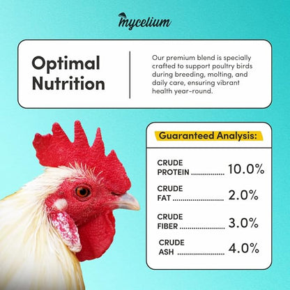 Mycelium Premium Poultry Scratch | Bird Food for Chickens, Quails & Game Birds | Organic, Non-GMO Seed Treat with Corn, Wheat & Milo | Supports Natural Foraging & Digestion | Made in USA, 5 lb Bag