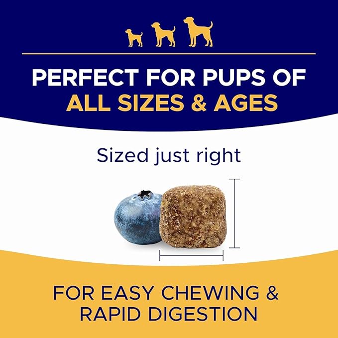 Omega 3 Fish Oil for Dogs (180Ct) - Skin&Coat Chews - Dry & Itchy Skin Relief + Allergy Support - Shiny Coat - EPA&DHA Fatty Acids - Salmon Oil Chews Promotes Heart - Peanut