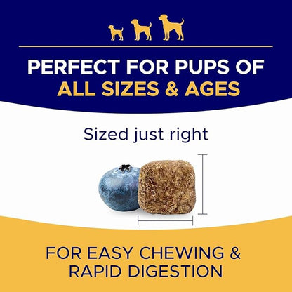 Omega 3 Fish Oil for Dogs (180Ct) - Skin&Coat Chews - Dry & Itchy Skin Relief + Allergy Support - Shiny Coat - EPA&DHA Fatty Acids - Salmon Oil Chews Promotes Heart - Peanut