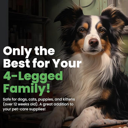 Best Shot Scentament Spa Botanical Body Splash, Detangler Spray, Hypoallergenic Body Spray for Pets, Cat and Dog Cologne Spray, Exotic Island, 8 Oz.