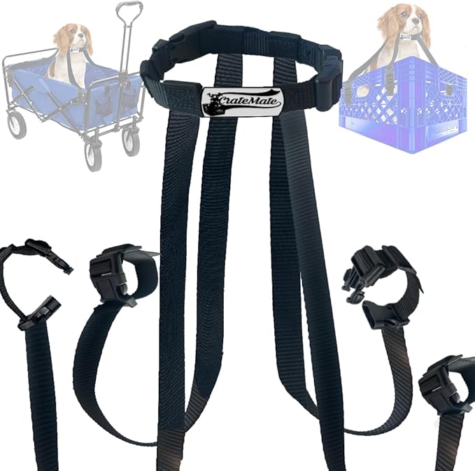 4-Point Adustable Dog Safety Collar Harness, Pet Harness with Four Variable 24in Vertical Clips, Collar Diameter adjusts from 3.5-5.5in No-Choke Pet Harness with Easy Set up for Small to Meduim Dogs