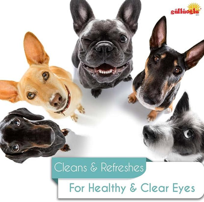 60ml Pet Eye Drops & Eye Wash for Dogs & Cats  Fast Relief for Itching, Irritation, Pink Eye & Allergy Symptoms  Gentle, Safe, Natural Formula for All Animals  Large 60ml Bottle