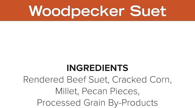 Blue Seal Nut Feast Suet Cakes for Wild Birds | No Mess Suet Feed with Variety of Nuts | Food for Woodpeckers, Cardinals, Siskins & Sparrows | Use with Suet Feeder | 11oz Seed Cake (6 Variety Pack)