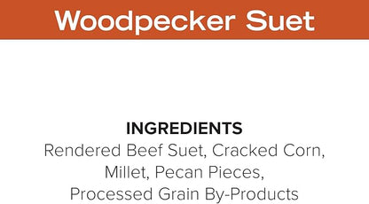 Blue Seal Nut Feast Suet Cakes for Wild Birds | No Mess Suet Feed with Variety of Nuts | Food for Woodpeckers, Cardinals, Siskins & Sparrows | Use with Suet Feeder | 11oz Seed Cake (6 Variety Pack)