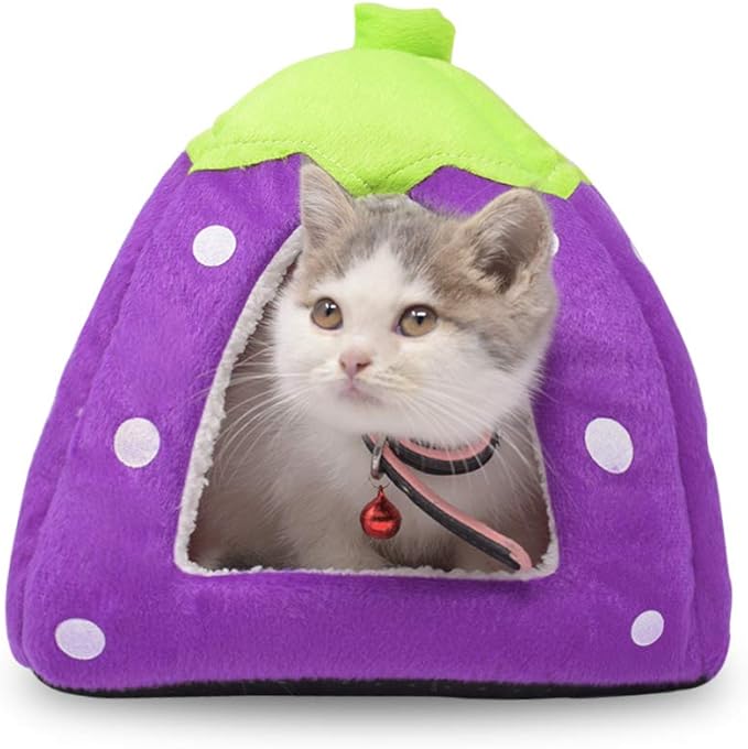 Spring Fever Hamster Guinea Pig Rabbit Dog Cat Chinchilla Hedgehog Bird Small Animal Pet Bed House Hideout Cage Accessorie D Purple XL (18.9 * 18.9 inch)