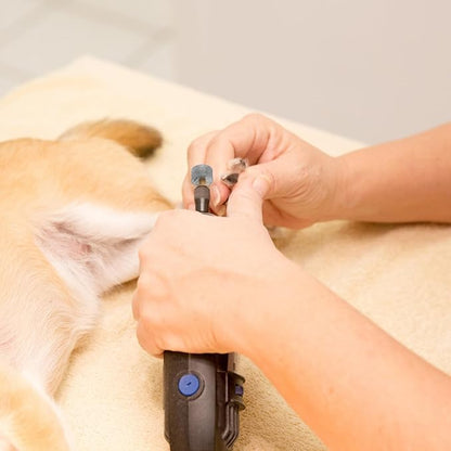 10PCS Dog Nail Replacement Heads Compatible with Casfuy, Dog Nail Wheel Pet Nail Tip, Electric Paw Grinding Head