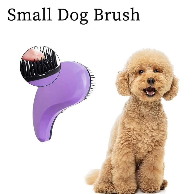 Small Dog Brush - Puppy Hair Brush- Grooming Tool for Teddy, Yorkies, Maltese, Shih Tzu, Chihuahua (Purple)