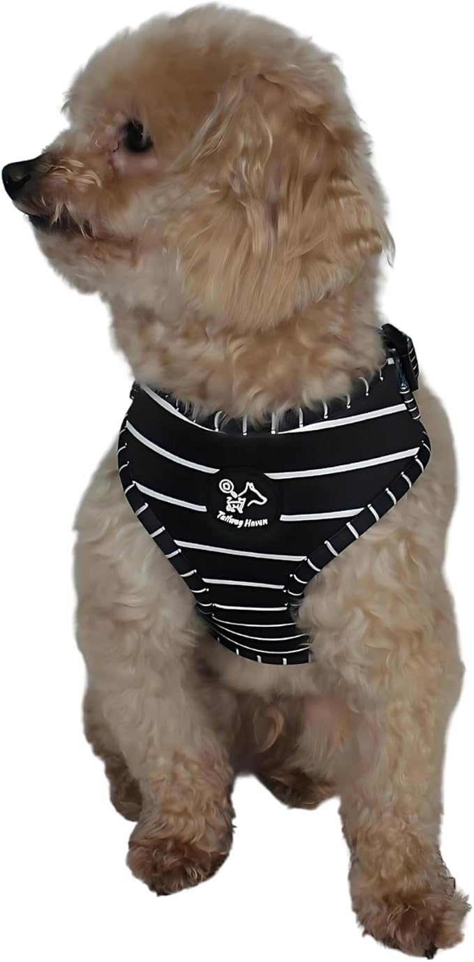 Dog Harness and Leash Set, No Pull Adjustable Soft Padded Vest, No Choke (Medium, White Stripe)