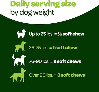 Probiotic Chews for Dogs Gut Health | Tasty Pre and Probiotics for Dogs Digestive Health with Pumpkin Dog Probiotics and Digestive Enzymes | NASC Certified & Made in The USA | 60 Chews