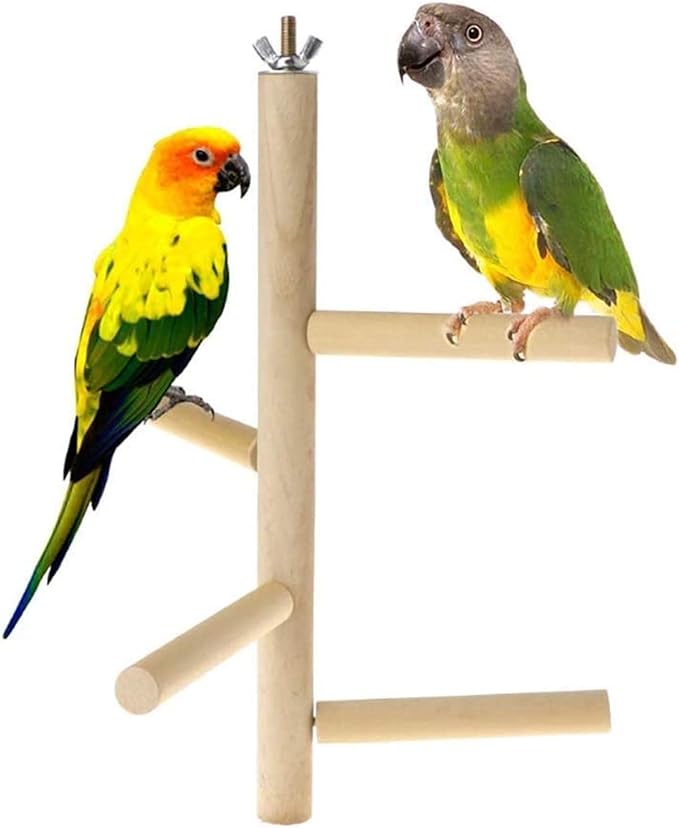 Bird Perch Stand Toy Natural Wood Parrot Perch Parakeet Cage Top Wooden Branches for Standing Toys for Small Medium Parrots Conure Budgie Lovebirds