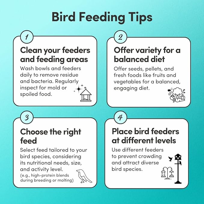 Mycelium Large Pet Bird Food | Clean & Safe Bird Seed Mix for Macaws, Cockatoos, Parrots | High in Protein & Fat with Egg, Corn, Vitamins, Peanuts & Hemp Seed | Organic & Non-GMO 5 lb Bag