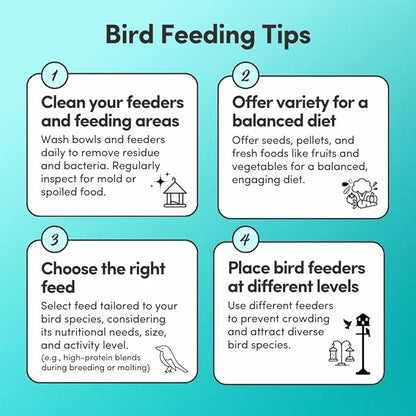 Mycelium Large Pet Bird Food | Clean & Safe Bird Seed Mix for Macaws, Cockatoos, Parrots | High in Protein & Fat with Egg, Corn, Vitamins, Peanuts & Hemp Seed | Organic & Non-GMO 5 lb Bag