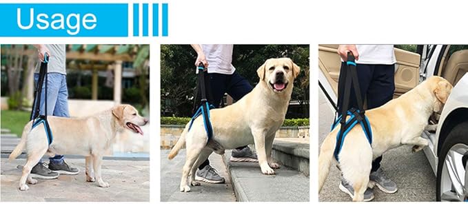 Adjustable Pet Dogs Lift Support Harness Breathable Mesh Padded Sling Straps Canine Support Rehabilitation for Injuries Arthritis Weak hind Legs & Joints, Blue (S)