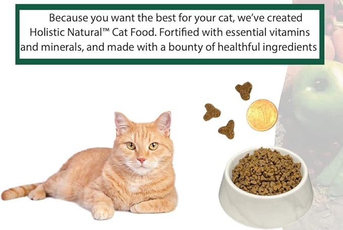 Bench & Field Holistic Natural Premium Adult Dry Cat Food, Chicken Meal and Brown Rice Recipe 3 lb Bags (Pack of 3)