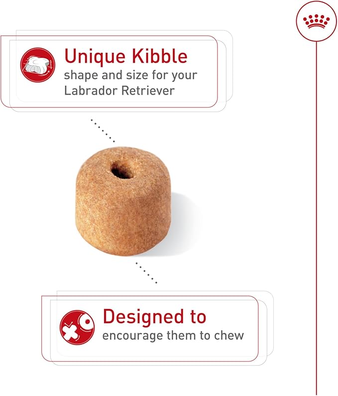 Royal Canin Labrador Retriever Adult Dry Dog Food, 30 lb bag