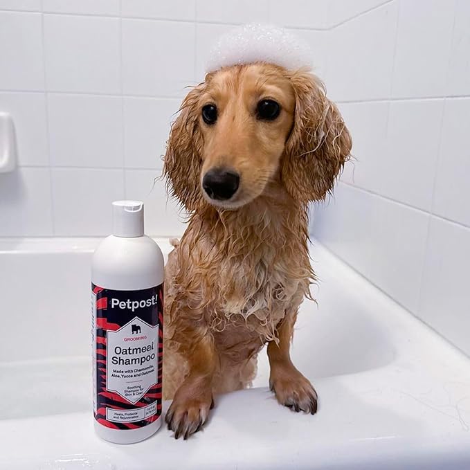 Petpost | Oatmeal & Chamomile Shampoo for Dogs with Dry Skin - Naturally Heals, Protects, Rejuvenates Dog Skin & Coat - Oatmeal, Chamomile, Aloe & Yucca Formula 8 oz.