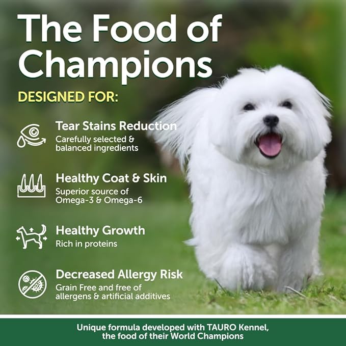 Nature's Protection Superior Care Grain Free Dry Dog Food - Healthy Dog Food All Life Stages Dogs - Balanced, Super Premium Dog Food - 1 Pack of 8.8lb Insect Flavor