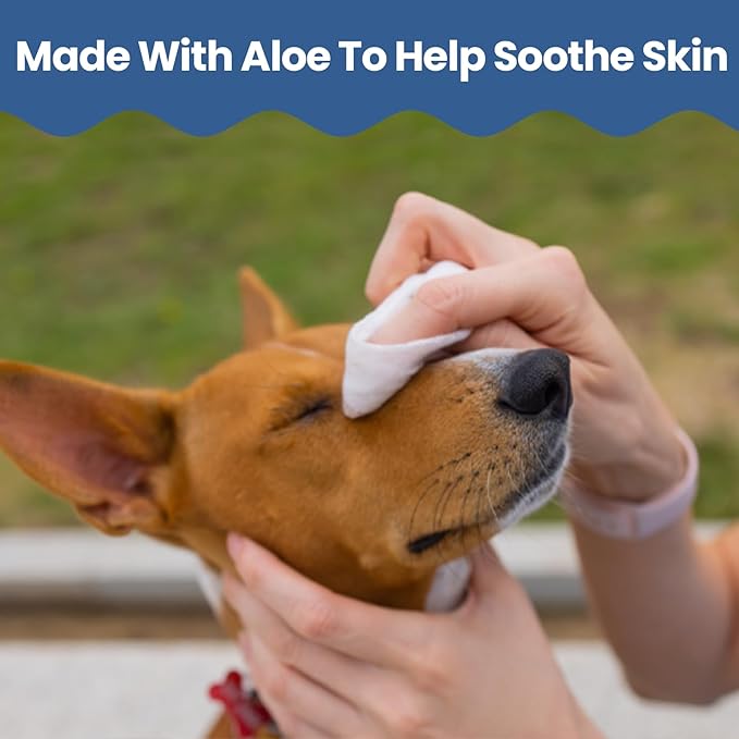 Replenish Antiseptic Wipes for Dogs and Cats - Dog Medicated Wipes with Chlorhexidine and Ketoconazole - Pet Grooming Wipes - Dog Allergy Wipes for Itch Relief, Hot Spots & Skin Irritation - 50 Count