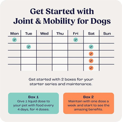 Summit Canine Joint and Mobility Supplement for Medium Dogs, All Natural Liquid Chondroitin, Liposomal Delivery for Arthritis, Hip & Joint Support Vitamin, (Dogs, 25-75lbs)
