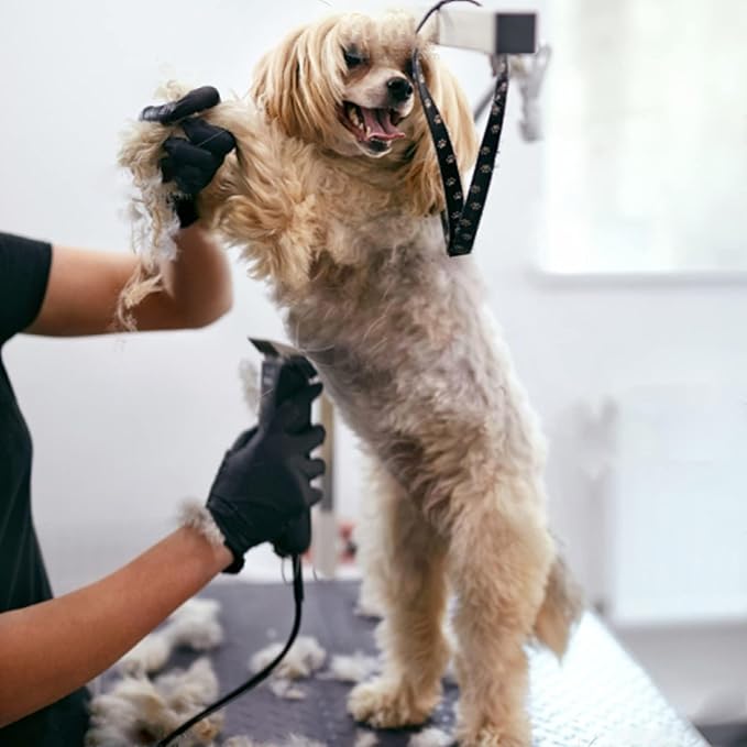 4PCS Wide Blade Dog Grooming Blades Compatible with Andis Dog Clipper,Dog Grooming Wide Blade compatiblewith Wahl km10 Clippers/Oster A5 Type Blade,for Animal Dog,Cat,Horse (30W+7FW+5FW+4FW)