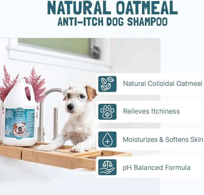 Bio-Groom Oatmeal Dog Shampoo – for Allergies and Itching, Cruelty-Free, Bathing Supplies, Puppy Shampoo for Sensitive Skin, Made in USA, Anti-Itch Dog Products – 12 fl oz 2-Pack