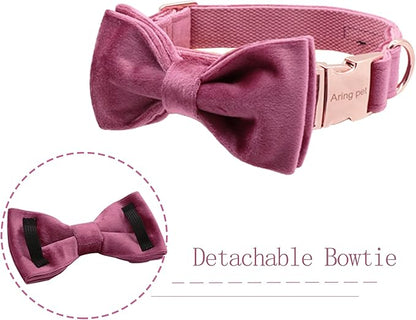 ARING PET Bowtie Dog Collar-Velvet Dog Collars with Removable Bowtie, Cute & Comfortable Dog Collar.
