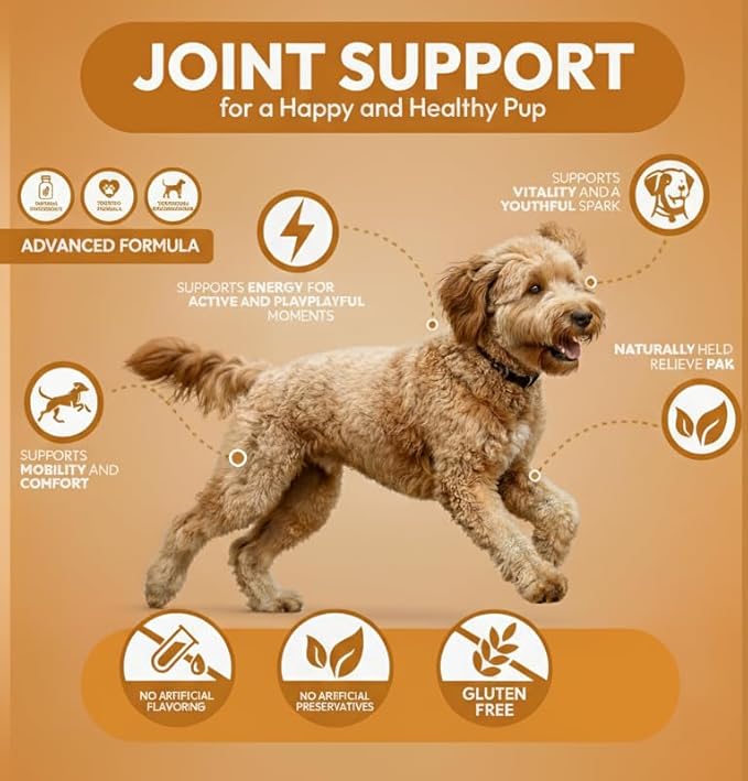 Hip & Joint Support Chews for Dogs – 100 Count, Soft Chews with Glucosamine, Chondroitin Sulfate & MSM – Mobility, Cartilage & Joint Stiffness Relief Supplement