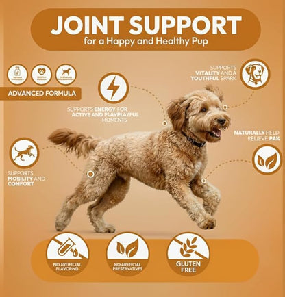 Hip & Joint Support Chews for Dogs – 100 Count, Soft Chews with Glucosamine, Chondroitin Sulfate & MSM – Mobility, Cartilage & Joint Stiffness Relief Supplement