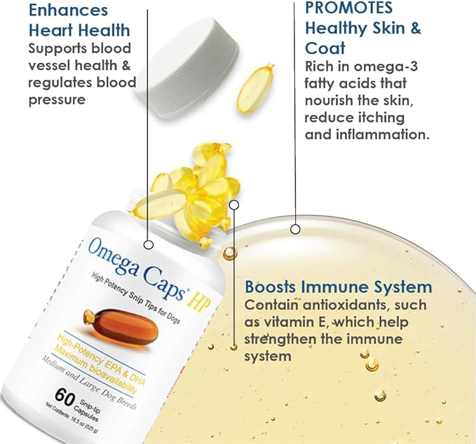 Omega Caps HP Snip Tips for Medium and Large Dogs High Potency EPA and DHA Maximum Bioavailability Fish Oil Supplement Vet Formulated Made in USA Skin Coat Joint and Heart Health 60 Capsules