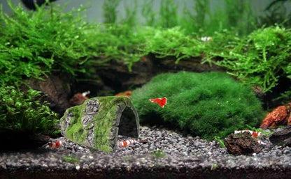 M2cbridge Aquarium Decorations Fish Hideout House Betta Cave with Green Lifelike Moss (Betta Rock Cave)