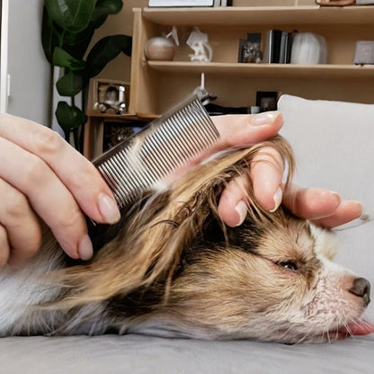 AIRY 7.5" Professional Thinning Shears Dog Grooming Blending Scissor, 20%-30% Thinning Rate Pet Grooming Thinner Blender Shears Set Includes No Traces Scissors & Steel Comb Right and Left Handers