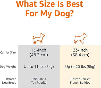 Amazon Basics - 2-Door Top-Load Hard-Sided Dogs, Cats Pet Travel Carrier, Gray & Blue, 22.8"L x 15.0"W x 13.0"H