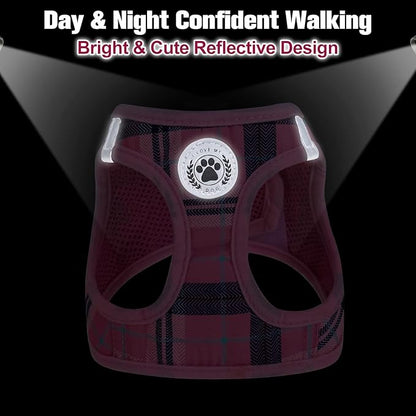 BEAUTYZOO Small Dog Harness and Leash Set,Step in No Chock No Pull Soft Mesh Dog Harnesses Reflective for Extra-Small/Small Medium Puppy Dogs and Cats, Plaid Dog Vest Harness for XS S Pets, Pink M