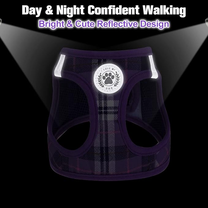 BEAUTYZOO Small Dog Harness and Leash Set, Step in No Chock No Pull Soft Mesh Dog Harnesses Reflective for Extra-Small/Small Medium Puppy Dogs and Cats, Plaid Dog Vest Harness for XS S Pets, Purple L