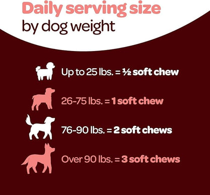 Hip and Joint Chews for Dogs | Dog Glucosamine Chews for Comfort & Mobility with Chondroitin MSM & Turmeric | Dog Joint Supplement for All Ages & Sizes | NASC Certified & Made in The USA | 60 Chews