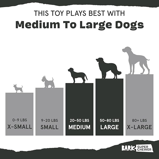 Barkbox Pupkin Spice Latte Plush Dog Toy – Plush Dog Toys – Puppy and Pet Toys for Medium to Large Dogs