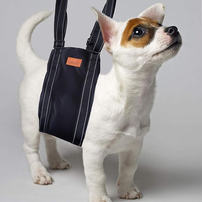 LOOBANI Portable Dog Sling for Back Legs, Hip Support Harness to Help Lift Dogs Rear for Canine Aid and Old K9 Cruciate Ligament Rehabilitation