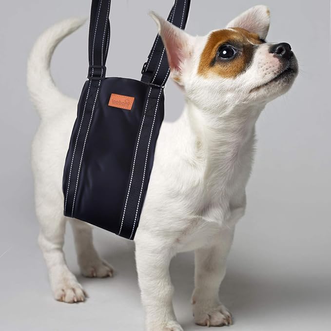 LOOBANI Portable Dog Sling for Back Legs, Hip Support Harness to Help Lift Dogs Rear for Canine Aid and Old K9 Cruciate Ligament Rehabilitation