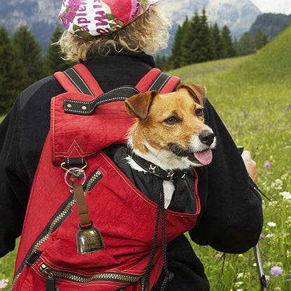 4 PCS Loud Bear Bells with Leather Button Strap Dog Collar Bell Pet Bells Tracker Noise Maker Anti-theft Bell Strap and Pet Anti- Lost Silver Pendant ID Tags for Pet Pendant Accessories Decorative