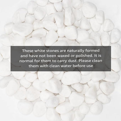 White Natural River Rocks, 1-1.5 Inch Decorative Stones for Plants, Garden, and Landscaping  40LB, Ideal for Fish Tanks, Vases, Crafting, Home Decor, and Outdoor Landscaping