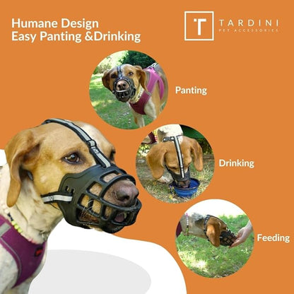 Dog Muzzle Soft Rubber Basket Muzzle for Large Dogs- Dog Muzzle for Medium Sized Dogs- Muzzle for Small Dogs - Prevents Biting, Scavenging- Allows Panting, Drinking- Bozales para Perros- Mouth Guard