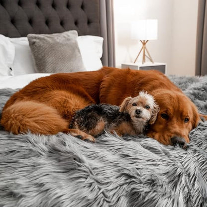 PupProtector Waterproof Throw Blanket for Dogs and Cats, Pet Blanket Cover for Couches, Sofas, Beds, Car Seats, Furniture, Calming Soft Faux Fur, Charcoal Grey, Large (80" L x 62" W)